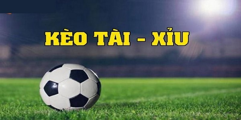 Kinh nghiệm cá cược theo kèo tài xỉu giúp cược thủ thắng lớn 