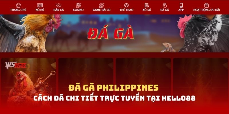 Quy trình tham gia cá cược đá gà theo kiểu Philippines tại nhà cái 