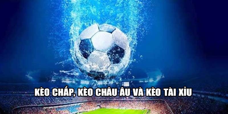 Cách đọc kèo bóng đá